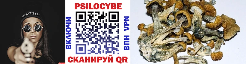 Галлюциногенные грибы MAGIC MUSHROOMS  Нолинск 